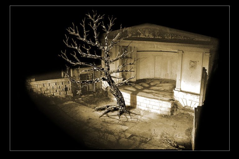 Theater symbol. Photo montage 3d. The withered fantastic tree is on the stage