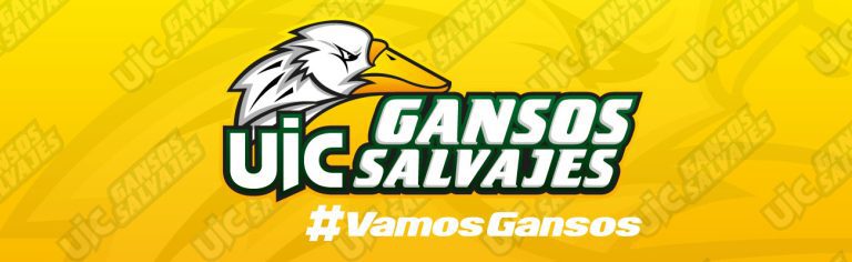 Gansos_Salvajes_UIC