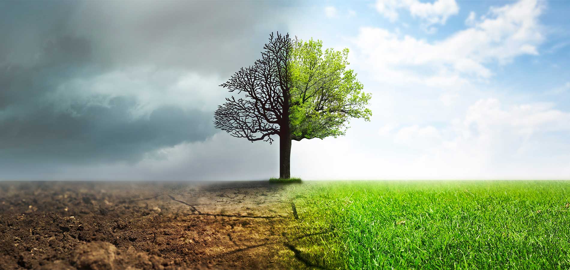 Obras de Fayum y el simbolismo de la despedida UIC.MX