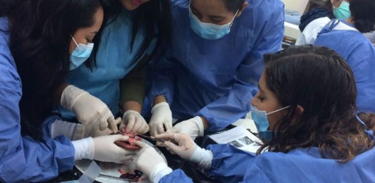 Actividad constante en la Licenciatura en Odontología